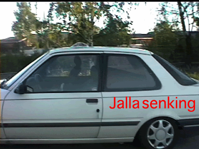 Jalla-senking.gif